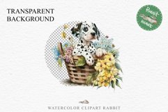 Dalmatian Cute Puppy Baby Dog in Basket Animals Clipart PNG Watercolor  Transparent Print for invitation t-shirt designs sublimation kids printable digital watercolor Baby dog png, watercolor Dalmatian puppy clipart, sublimation nursery drawing