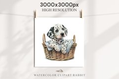 Dalmatian Cute Puppy Baby Dog in Basket Animals Clipart PNG Watercolor  Transparent Print for invitation t-shirt designs sublimation kids printable digital watercolor Baby dog png, watercolor Dalmatian puppy clipart, sublimation nursery drawing