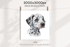 Dalmatian Cute Puppy Baby Dog in Basket Animals Clipart PNG Watercolor  Transparent Print for invitation t-shirt designs sublimation kids printable digital watercolor Baby dog png, watercolor Dalmatian puppy clipart, sublimation nursery drawing