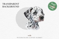 Dalmatian Cute Puppy Baby Dog in Basket Animals Clipart PNG Watercolor  Transparent Print for invitation t-shirt designs sublimation kids printable digital watercolor Baby dog png, watercolor Dalmatian puppy clipart, sublimation nursery drawing
