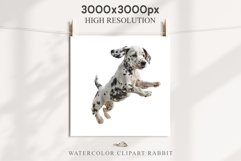 Dalmatian Cute Puppy Baby Dog in Basket Animals Clipart PNG Watercolor  Transparent Print for invitation t-shirt designs sublimation kids printable digital watercolor Baby dog png, watercolor Dalmatian puppy clipart, sublimation nursery drawing