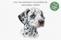 Dalmatian Cute Puppy Baby Dog in Basket Animals Clipart PNG Watercolor  Transparent Print for invitation t-shirt designs sublimation kids printable digital watercolor Baby dog png, watercolor Dalmatian puppy clipart, sublimation nursery drawing
