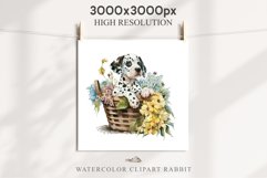 Dalmatian Cute Puppy Baby Dog in Basket Animals Clipart PNG Watercolor  Transparent Print for invitation t-shirt designs sublimation kids printable digital watercolor Baby dog png, watercolor Dalmatian puppy clipart, sublimation nursery drawing
