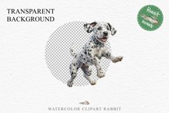 Dalmatian Cute Puppy Baby Dog in Basket Animals Clipart PNG Watercolor  Transparent Print for invitation t-shirt designs sublimation kids printable digital watercolor Baby dog png, watercolor Dalmatian puppy clipart, sublimation nursery drawing