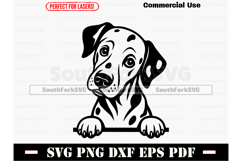 Peeking Dalmatian Dog SVG PNG DXF EPS PDF Product Image 1