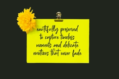 Daltonse Best Stylish Font Product Image 9