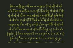 Daltonse Best Stylish Font Product Image 13