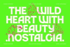 Damoga - Freestyle Display Font Product Image 4