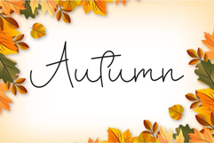 Dancing Valentine Product Image 7