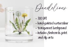 Watercolor Dandelion Life Cycle Set Product Image 2