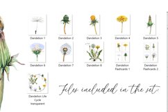 Watercolor Dandelion Life Cycle Set Product Image 6