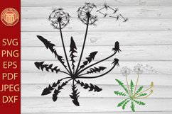 Dandelion with Seeds and Leaf - eps, svg, pdf, png files Product Image 1