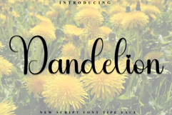 Dandelion Product Image 1
