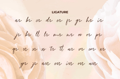 Danella Jasmine Font Product Image 8