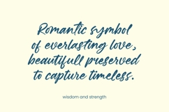 Daniela Butters - Aesthetic Handwritten Font Product Image 11