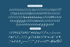 Daniela Butters - Aesthetic Handwritten Font Product Image 14