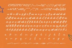 Danishy - Aesthetic Handwritten Font Product Image 17