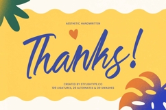 Danishy - Aesthetic Handwritten Font Product Image 20