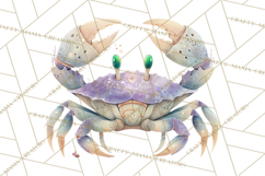 Haunted Aquarium PNG, Creepy Underwater Creatures Skeletons Product Image 4