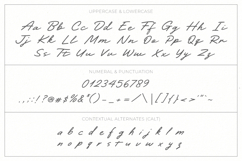 Darline Handwritten Font Product Image 15