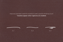 Darline Handwritten Font Product Image 5