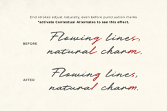 Darline Handwritten Font Product Image 8