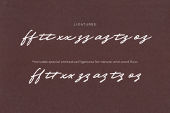 Darline Handwritten Font Product Image 9