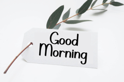 Darling Monday Product Image 7