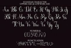 Darling Valentina Product Image 7