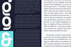 Davigo Pro Modern Rounded Logo &amp; Branding Typeface Product Image 10