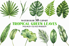 Tropical Green Leaves | Watercolor Botanical Foliage Clipart Product Image 1