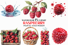 Raspberry PNG | Watercolor Fruit Sweet Juicy Summer Fresh Product Image 1