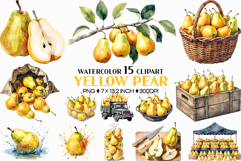 Yellow Pear | Watercolor fruit fresh harvest farm garden png Product Image 1