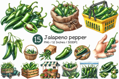 Jalapeno Pepper | Watercolor Vegetable Food Ingredient PNG Product Image 1