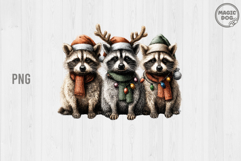Christmas Racoon|Christmas Feral|Trash Panda with Santa Hat Product Image 1