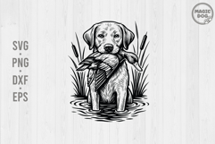 Hunting Dog|Duck Hunting Dog|Hunting Season Product Image 1