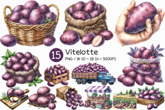 Vitelotte | Watercolor Purple Potato art Farm Harvest PNG Product Image 1