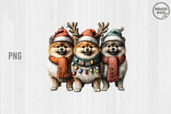 Pomeranian Christmas|Pom Dog Holiday|Santa Hat Dog Lights Product Image 1