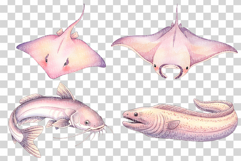 Aquatic Cuties Sea Animal | Watercolor Mermaid Pink PNG Product Image 10