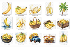 Banana PNG | Watercolor Fruit Sweet Juicy Summer Fresh Clip Product Image 8
