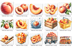 Peach PNG | Watercolor Fruit Summer Fresh Produce Clipart Product Image 5