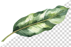 Tropical Green Leaves | Watercolor Botanical Foliage Clipart Product Image 10