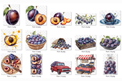Plum PNG | Watercolor Fruit Clipart Purple Violet Splash Product Image 8