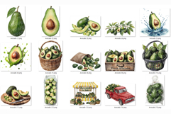 Avocado PNG | Watercolor Fruit Sweet Juicy Summer Fresh Half Product Image 8