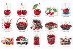 Cherry | Watercolor fresh citrus fruit farm harvest png Clip Product Image 8