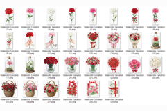 Watercolor Carnation | PNG Clipart Floral Bundle Red Pink Product Image 6