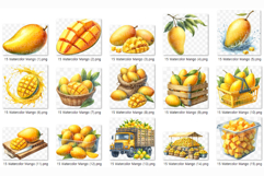 Mango PNG | Watercolor Fruit Summer Fresh Produce Clipart Product Image 5