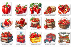 Red Bell Pepper | Watercolor Vegetable Paprika Chili PNG Product Image 5