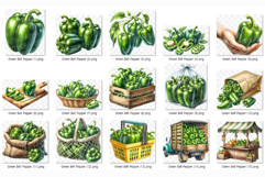 Green Bell Pepper | Watercolor Vegetable Fresh Organic PNG Product Image 6