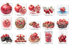 Pomegranate PNG | Watercolor Fruit Clipart Baskets Plastic Product Image 8